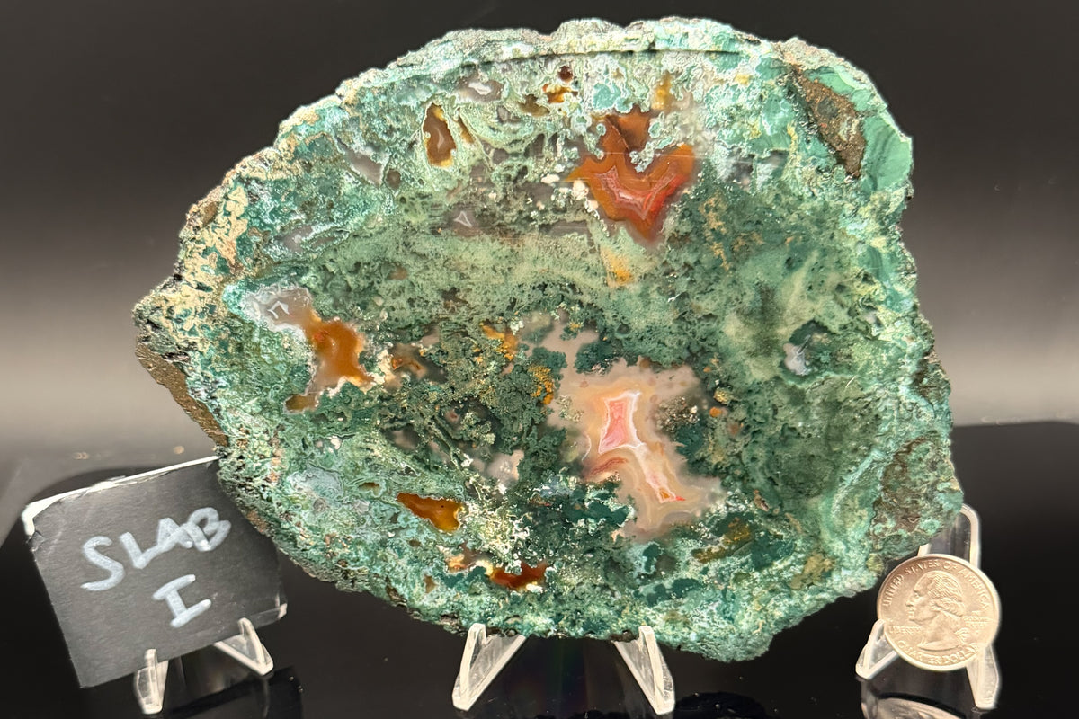 Turkish Limbcast with Agatized Chrysocolla (Unpolished)