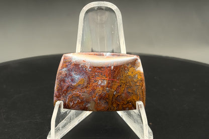 Maury Mountain Moss Agate Cabochon