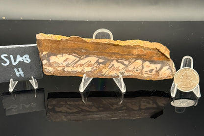 Outback Jasper (Unpolished)