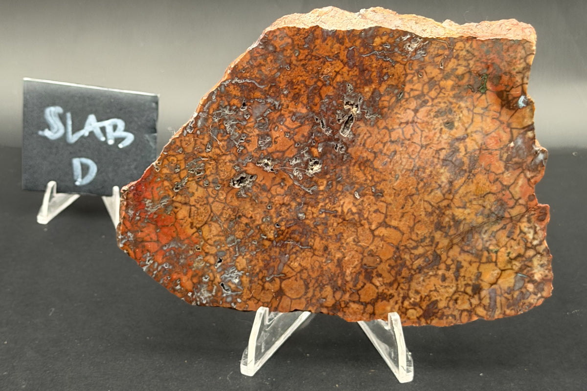 Spiderman Jasper Slabs (Unpolished)