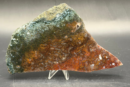 Maury Mountain Moss Agate (Unpolished) Slabs
