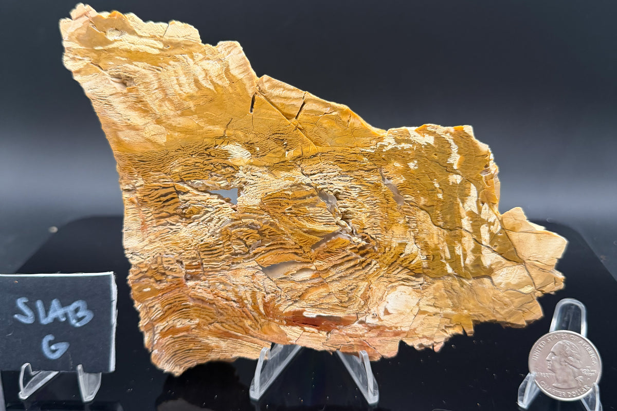 Howardite Jasper