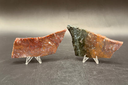 Maury Mountain Moss Agate (Unpolished) Slabs