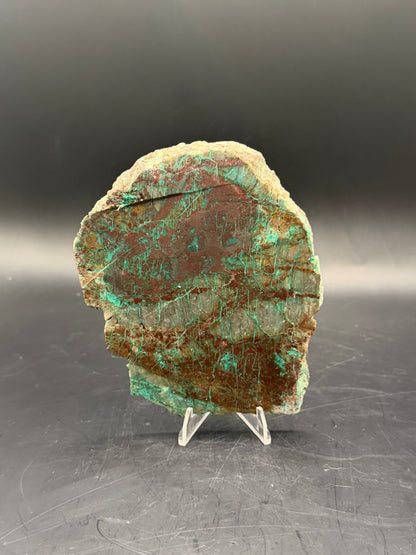 Spiderweb Chrysocolla (Unpolished)