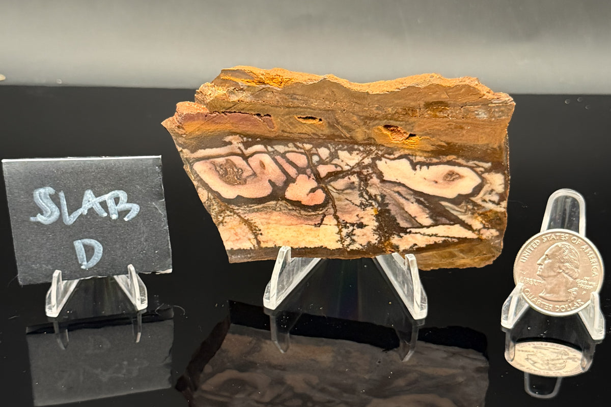Outback Jasper (Unpolished)