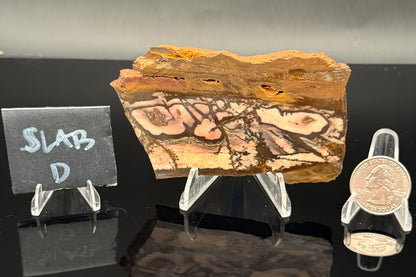 Outback Jasper (Unpolished)