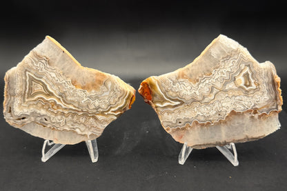 Candle Lace Agate Slab Set (Unpolished)