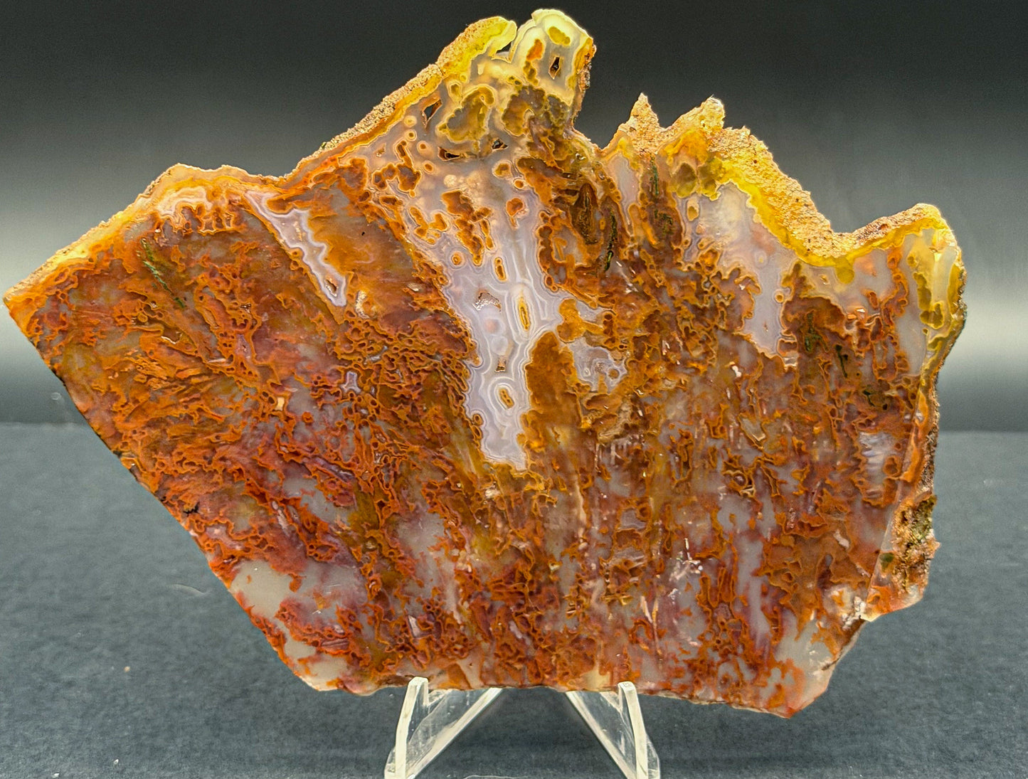 Bull Canyon Tube/Moss Agate (Unpolished)