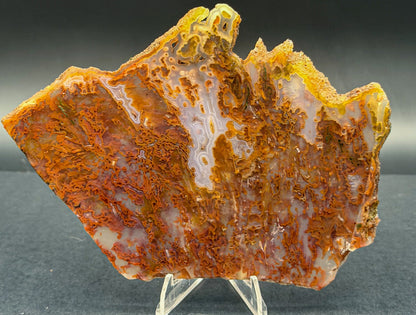 Bull Canyon Tube/Moss Agate (Unpolished)
