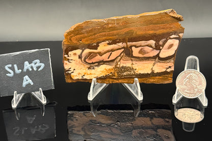 Outback Jasper (Unpolished)