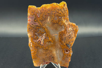 Turkish Agate with Amethyst and Quartz Crystals (Unpolished Slabs)