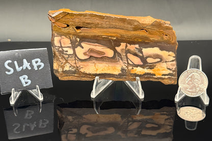 Outback Jasper (Unpolished)