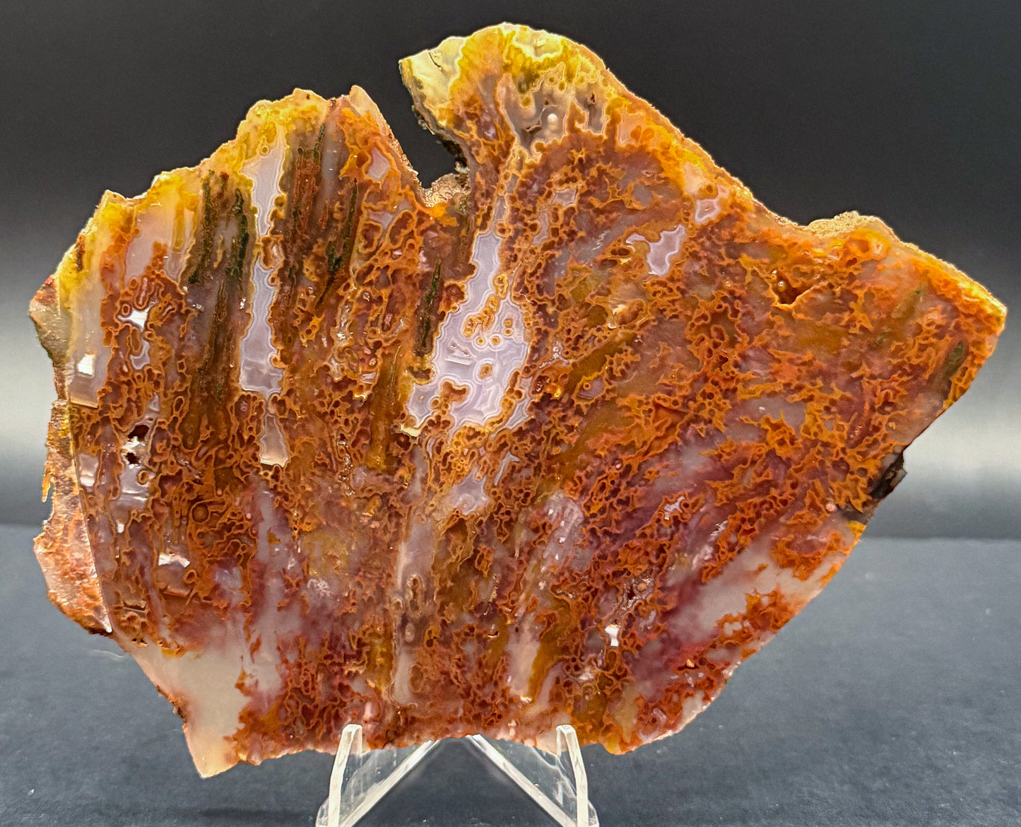 Bull Canyon Tube/Moss Agate (Unpolished)