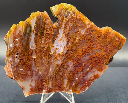 Bull Canyon Tube/Moss Agate (Unpolished)