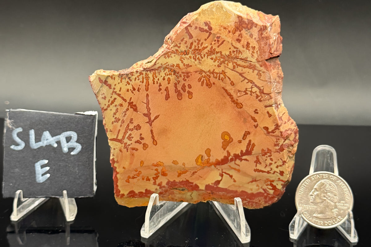 Owyhee Jasper (Unpolished)