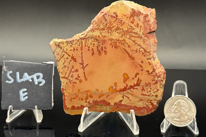 Owyhee Jasper (Unpolished)