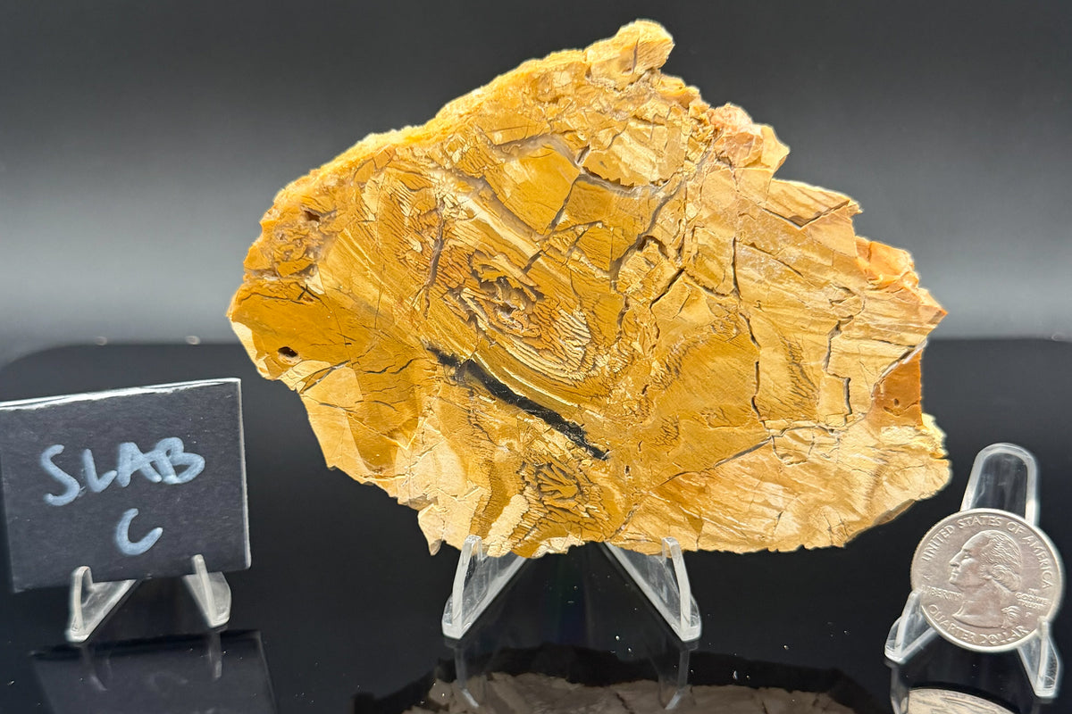 Howardite Jasper