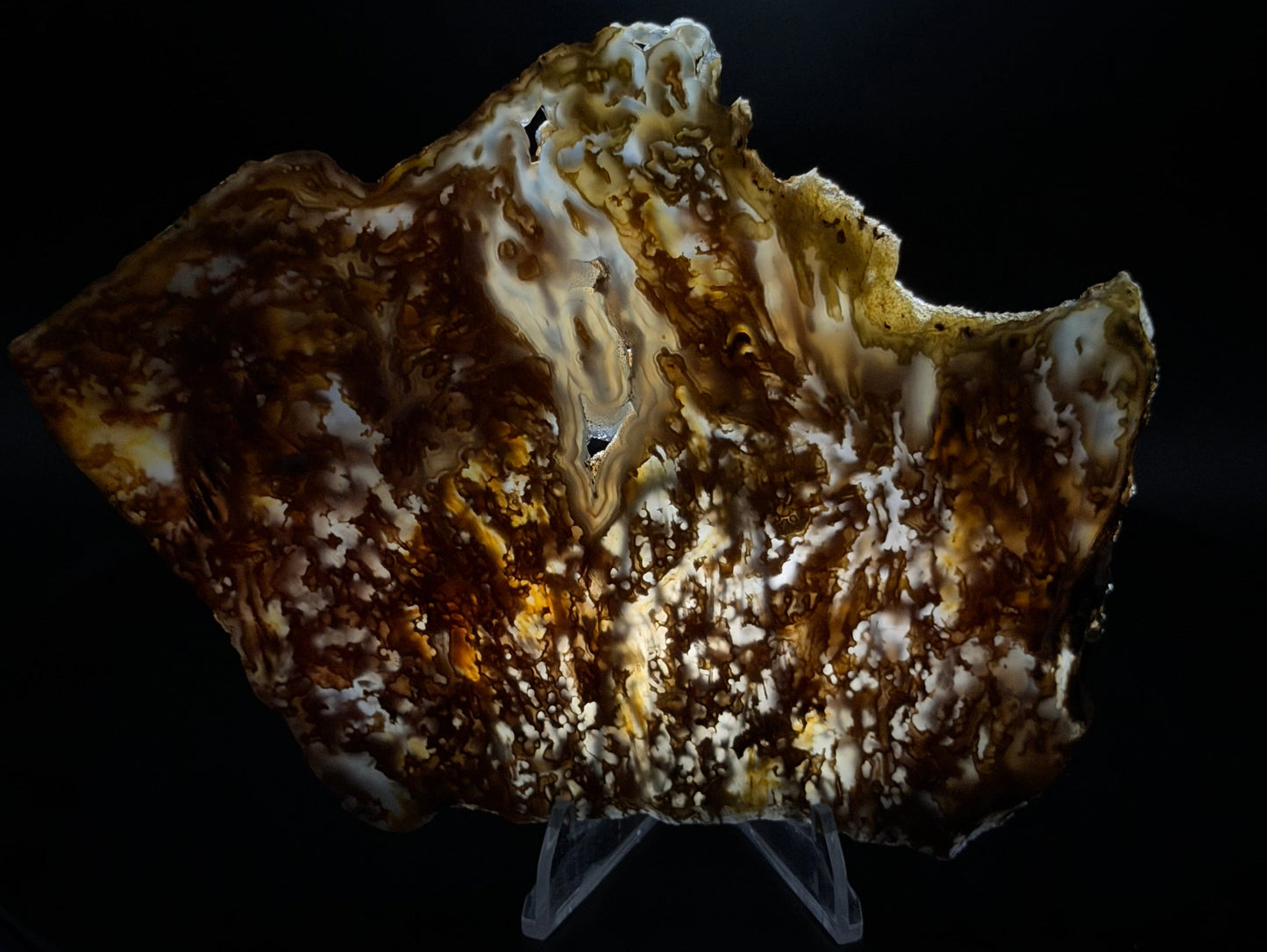 Bull Canyon Tube/Moss Agate (Unpolished)