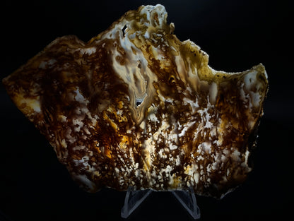 Bull Canyon Tube/Moss Agate (Unpolished)