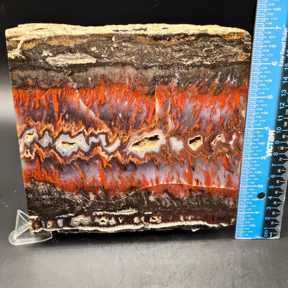 Mexican Flame Agate (Polished)