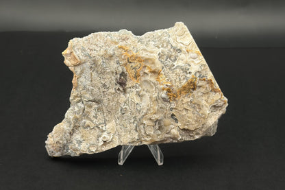 Candle Lace Agate (Unpolished)