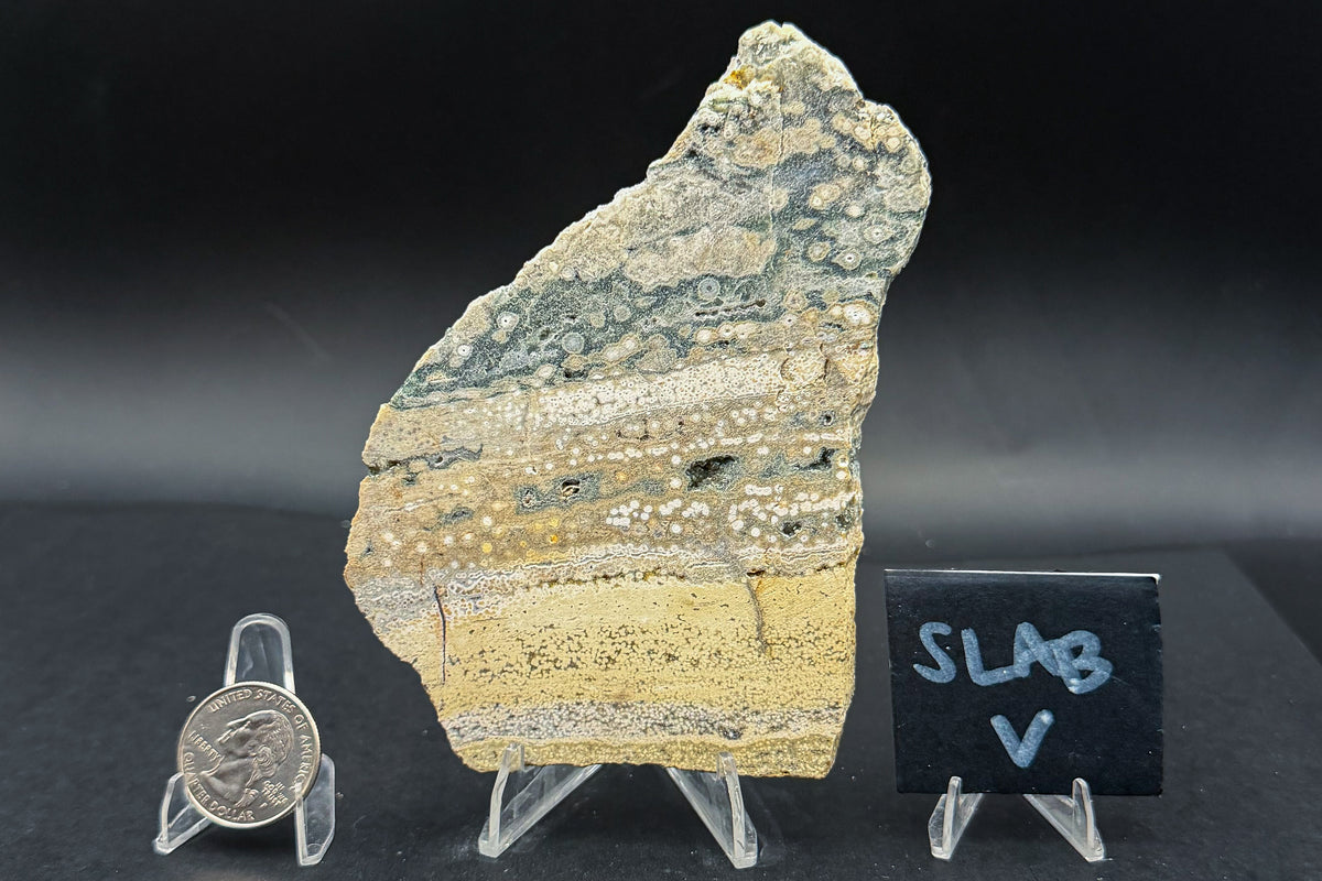 Ocean Jasper Slab (Unpolished)