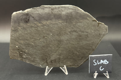 Mexican Velvet Obsidian (Unpolished)