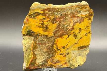 Morrisonite Jasper slab (Unpolished)