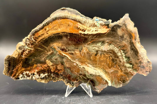 Chromium Woodworthia slab (Collector's Grade) (Unpolished)