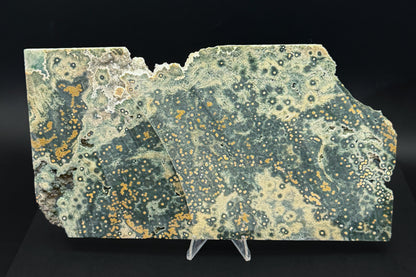 1st Vein Ocean Jasper (Unpolished)