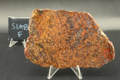 Spiderman Jasper Slabs (Unpolished)