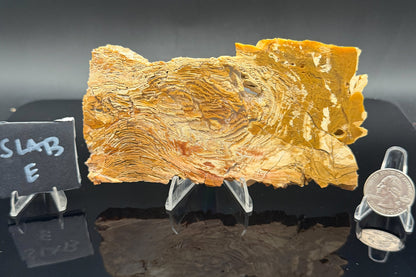 Howardite Jasper