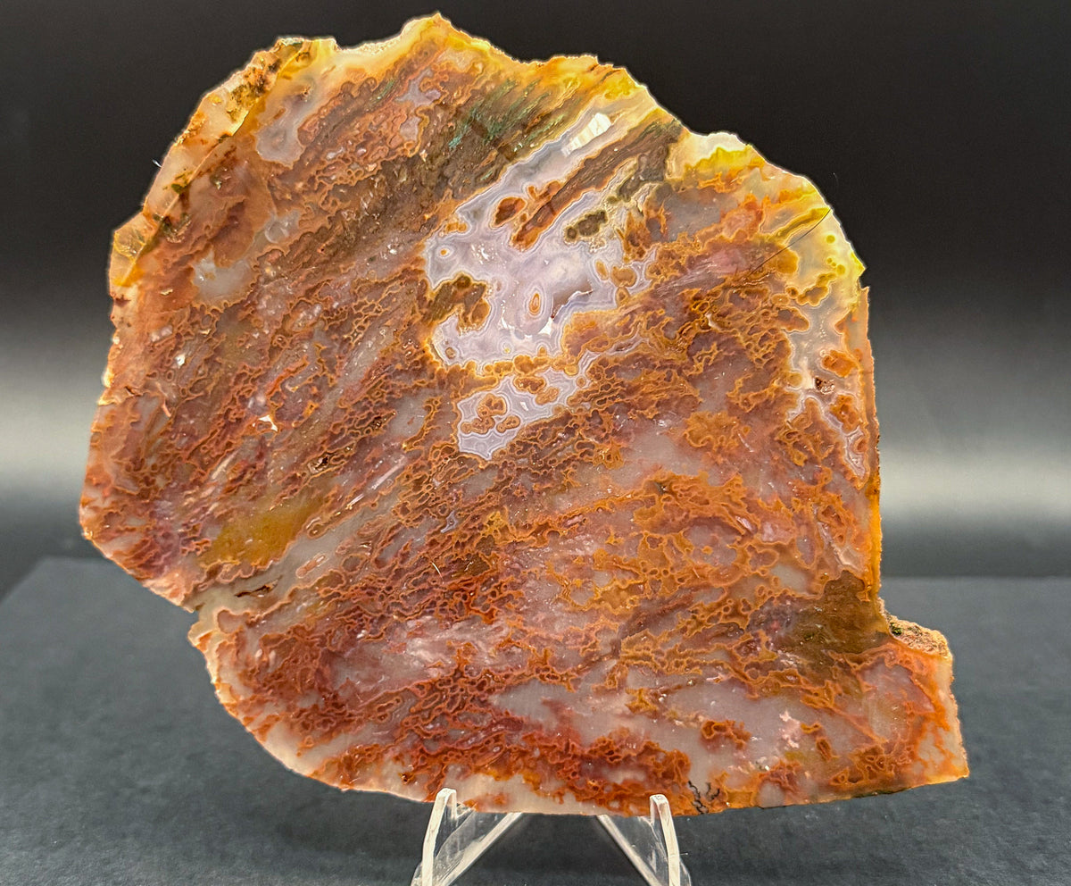 Bull Canyon Tube/Moss Agate (Unpolished)