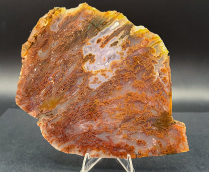 Bull Canyon Tube/Moss Agate (Unpolished)