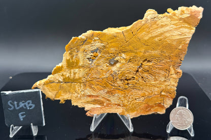 Howardite Jasper