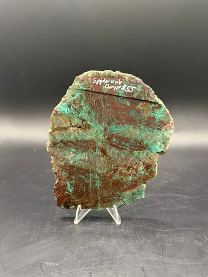 Spiderweb Chrysocolla (Unpolished)