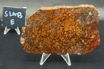 Spiderman Jasper Slabs (Unpolished)