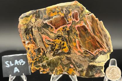 Turkish Petrified Wood (Unpolished)