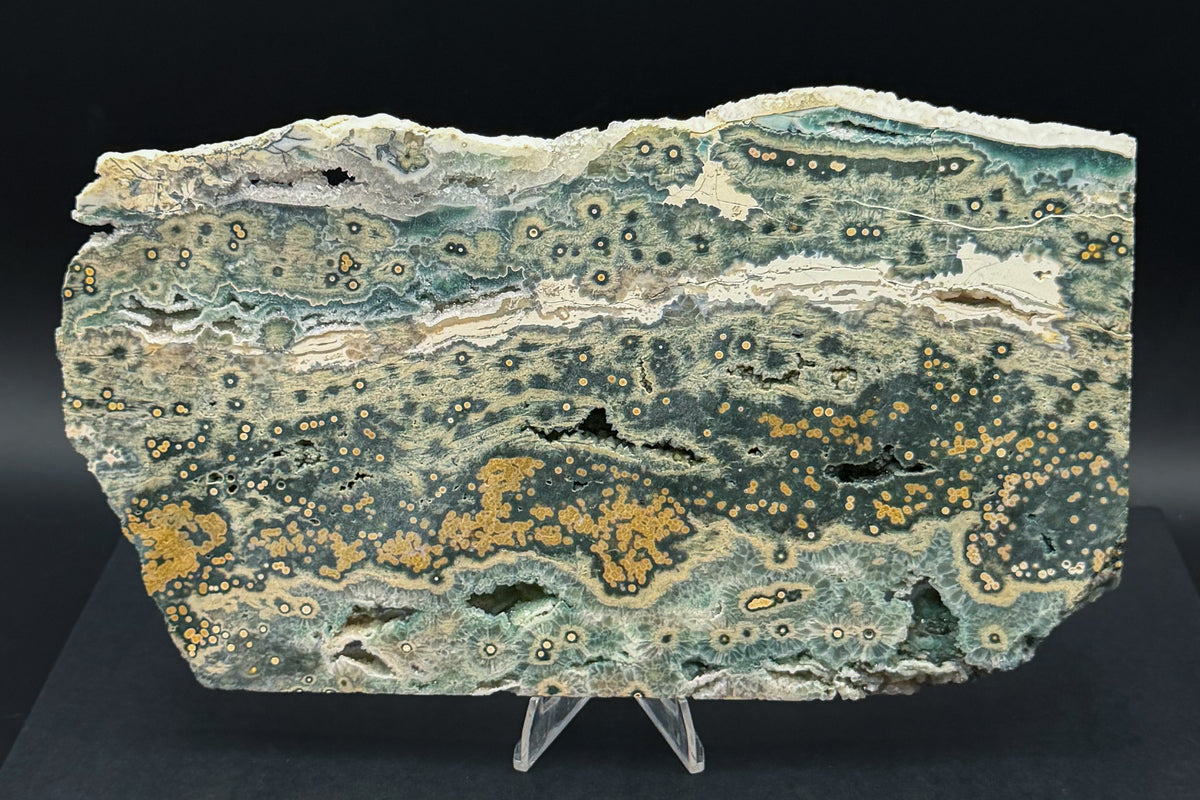 1st Vein Ocean Jasper (Unpolished)