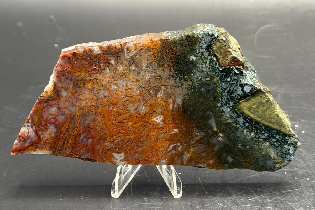 Maury Mountain Moss Agate (Unpolished) Slabs