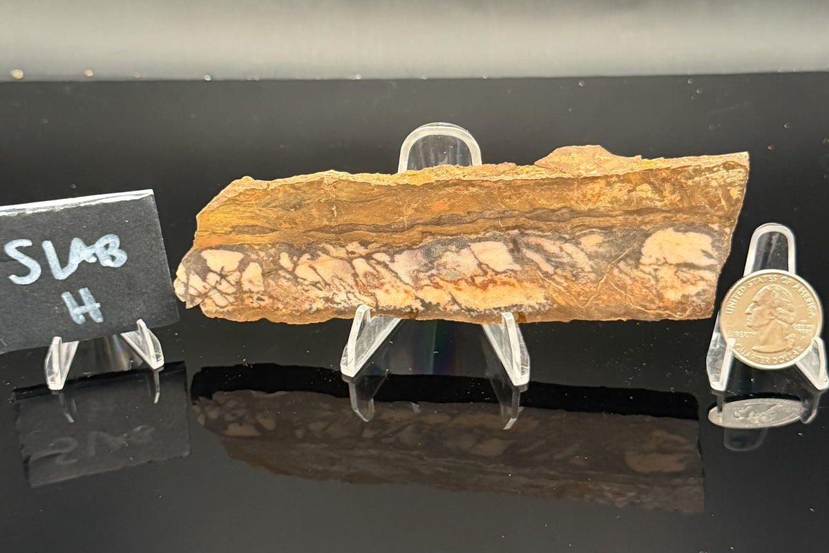 Outback Jasper (Unpolished)