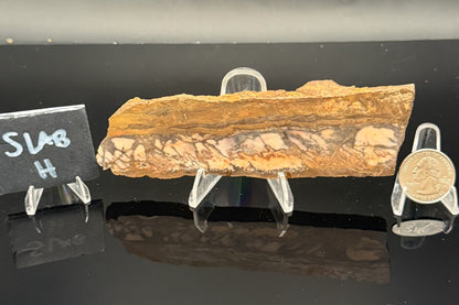 Outback Jasper (Unpolished)