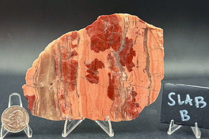 Unpolished Kona Dolomite
