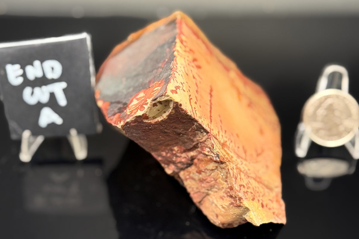 Owyhee Jasper (Unpolished)