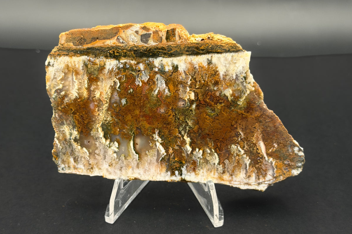 Linda Marie Plume Agate (Unpolished)