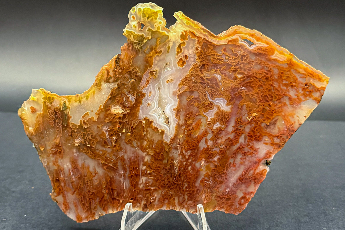 Bull Canyon Tube/Moss Agate (Unpolished)