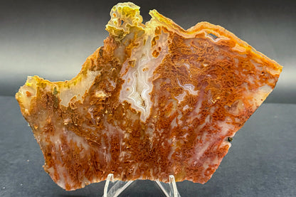 Bull Canyon Tube/Moss Agate (Unpolished)