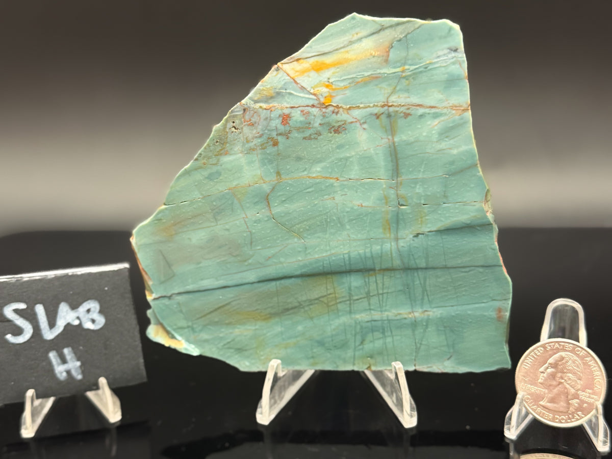 Skagg's Jasper (Unpolished)