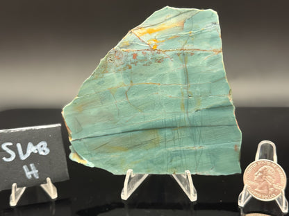 Skagg's Jasper (Unpolished)