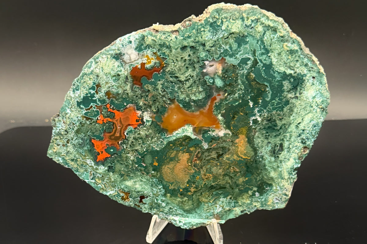 Turkish Limbcast with Agatized Chrysocolla (Unpolished)